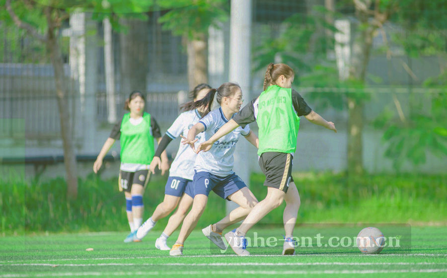 深色仪表界面中的频次条形图与地区切换标签